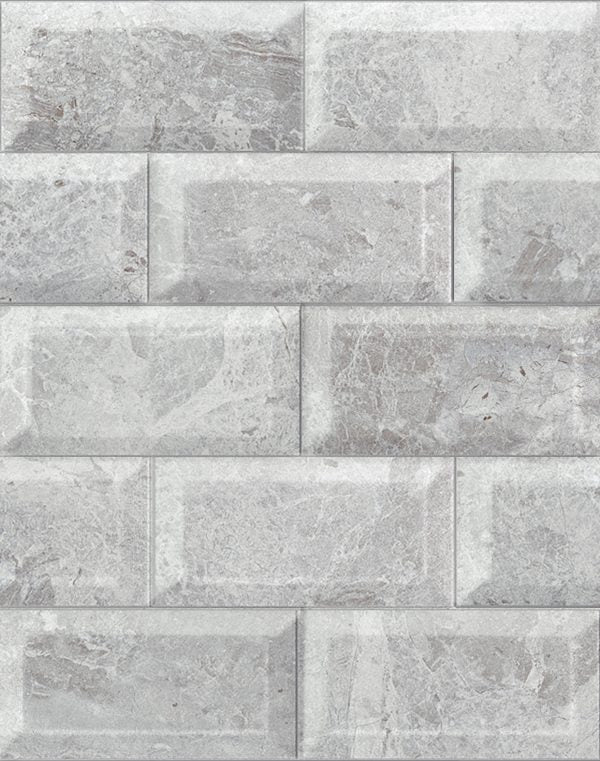 SAVANNAH ( METRO ) FOREST GRIS BRILLO 10 X 20 - Tile Projects Ltd