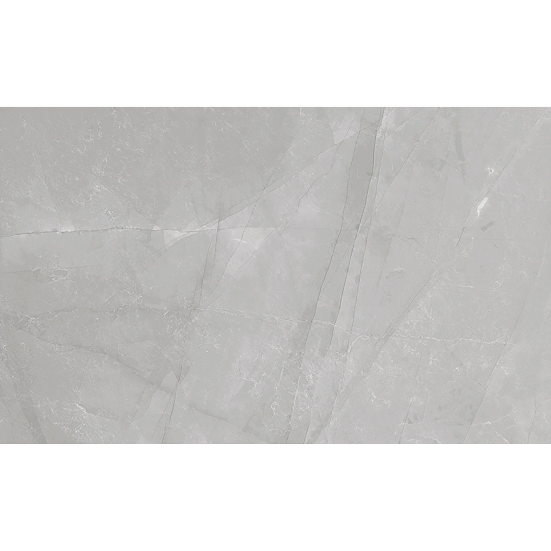 Dagma 33.3x55 Gris Gloss - Tile Projects Ltd