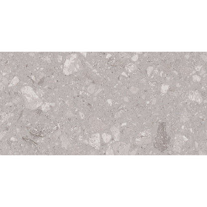 Fleck 30x60 Gris Polished - Tile Projects Ltd