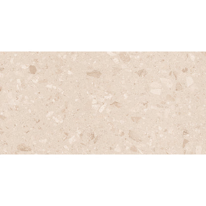 Fleck 60x120 Beige Polished - Tile Projects Ltd