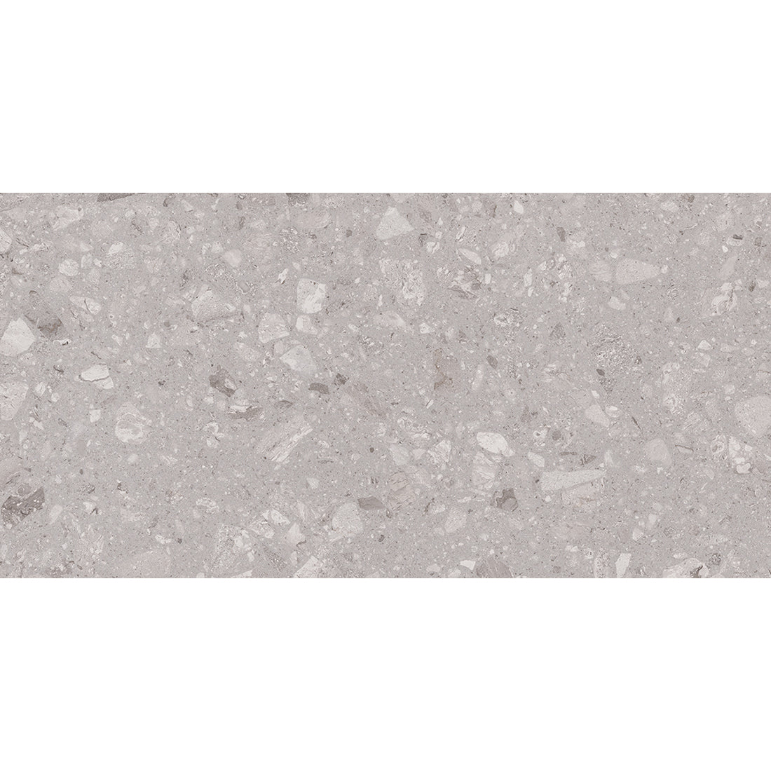 Fleck 60x120 Gris Polished - Tile Projects Ltd