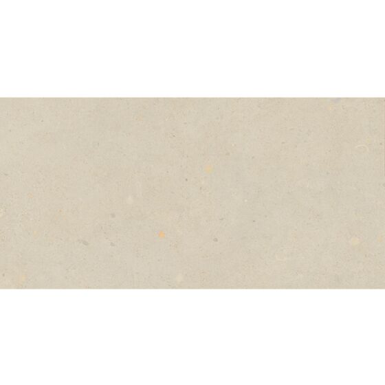 Siena Beige Matt Porcelain W&F 300x600mm - Tile Projects Ltd