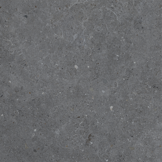 Siena Dark Grey Matt Porcelain W&F 600x600mm - Tile Projects Ltd