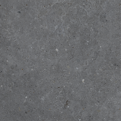 Siena Dark Grey Matt Porcelain W&F 600x600mm - Tile Projects Ltd