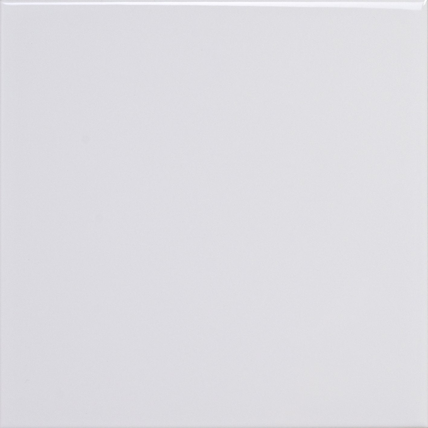 100X100X6.5 M/E GLOSS WHITE FIELD - Tile Projects Ltd