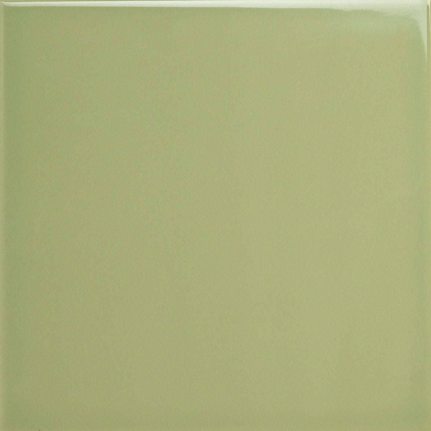 100X100X6.5 M/E GLOSS PISTACHIO FIELD - Tile Projects Ltd