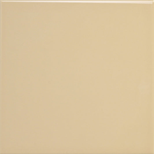 100X100X6.5 M/E GLOSS SUN HAZE FIELD - Tile Projects Ltd