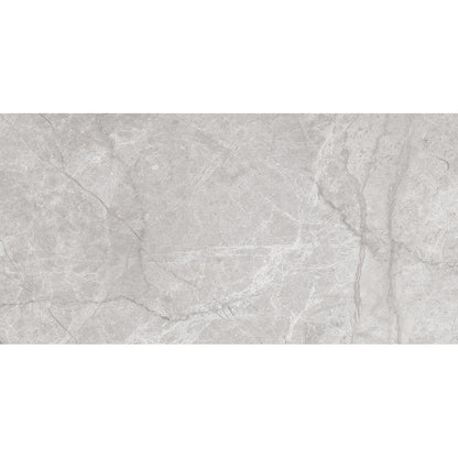 Spring 30x60 Gris Gloss - Tile Projects Ltd