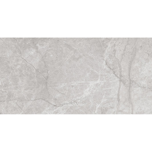 Spring 30x60 Gris Gloss - Tile Projects Ltd